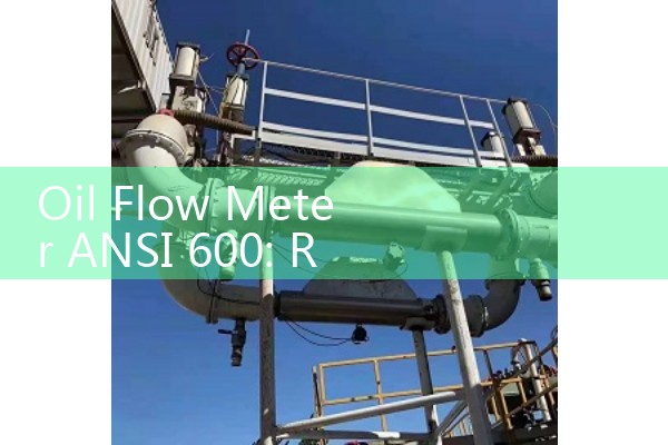 Oil Flow Meter ANSI 600: Rugged Demands for High-Pressure Distribution Networks